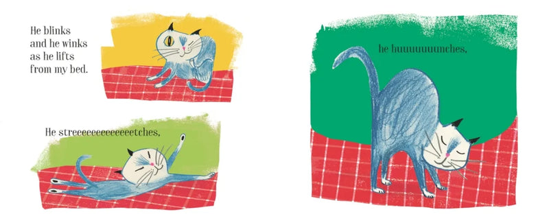 Atticus Caticus US - Hardback