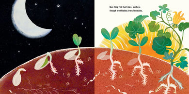 Seeds US - Hardback