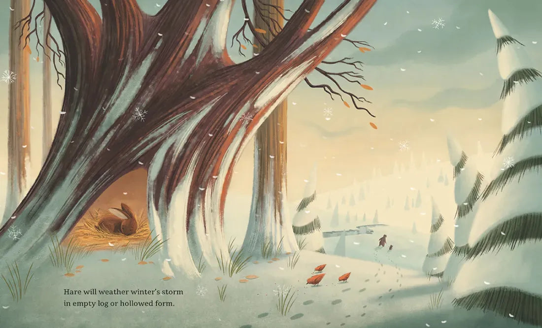 Winter Lullaby US - Hardback