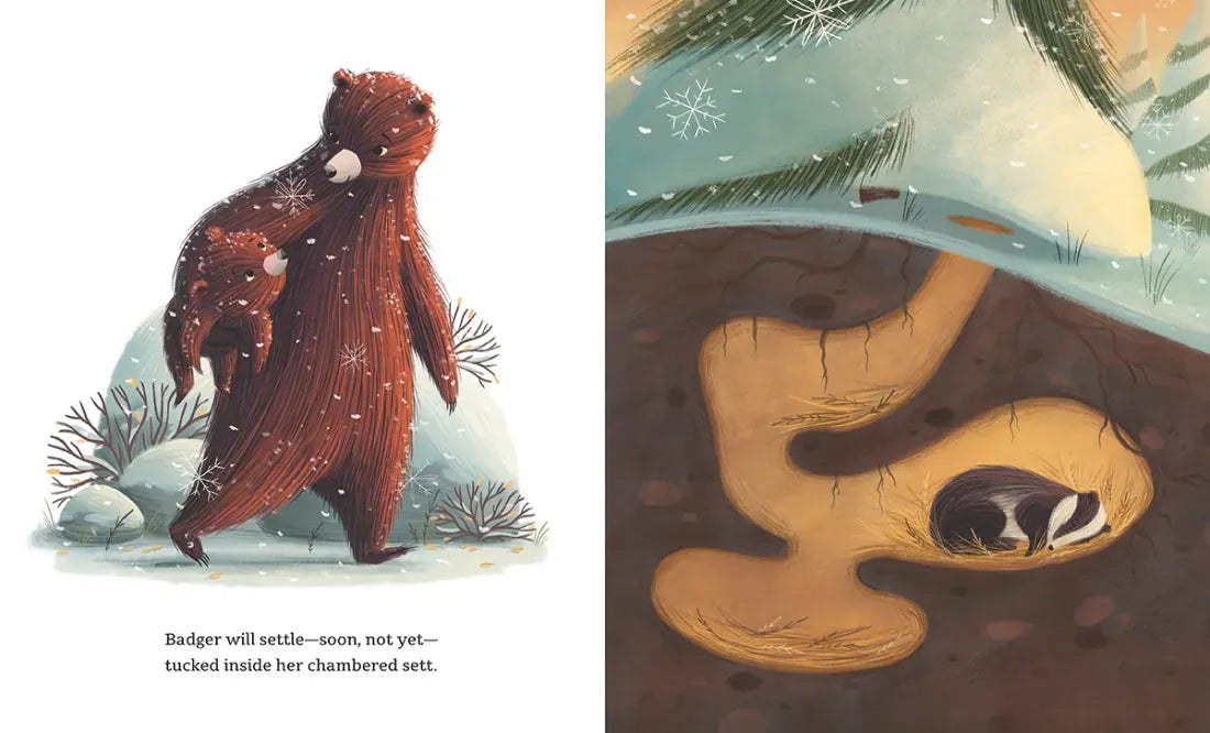 Winter Lullaby US - Hardback