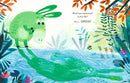 Little Green Donkey US - Hardback