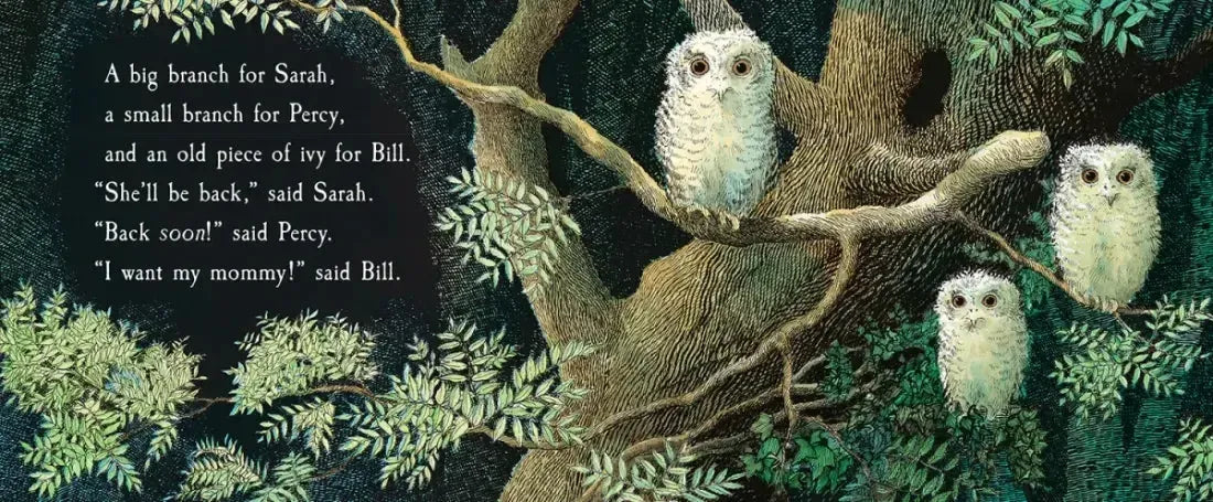 Owl Babies Padded Board Book US - Board book (9781536209631)