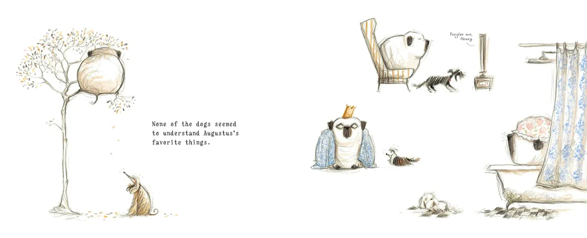 Ollie and Augustus US - Hardback