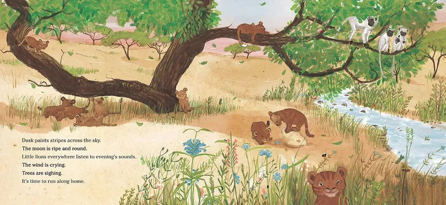 Lion Lullaby US - Hardback