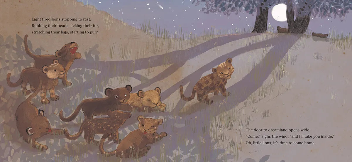 Lion Lullaby US - Hardback