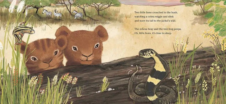 Lion Lullaby US - Hardback