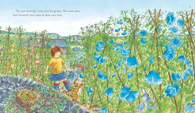 Sweet Pea Summer US - Hardback