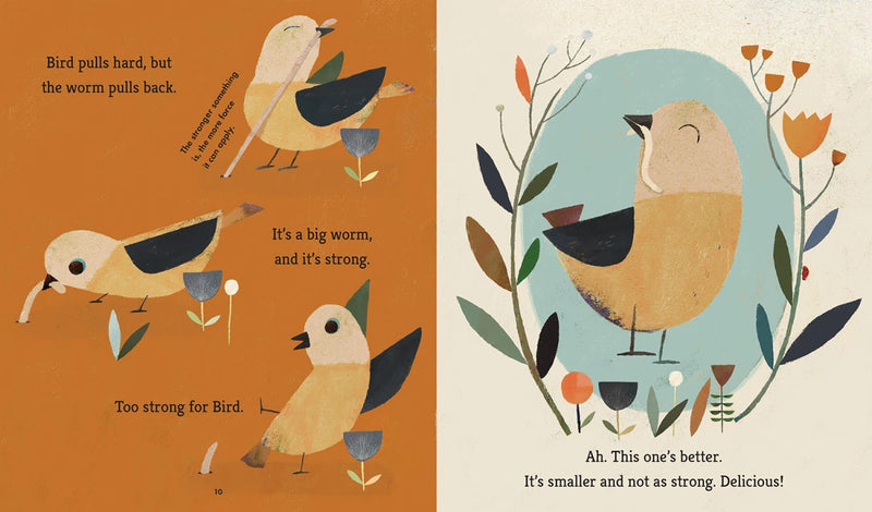 Bird Builds a Nest: A First Science Storybook US - Paperback / softback