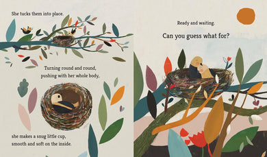 Bird Builds a Nest: A First Science Storybook US - Paperback / softback