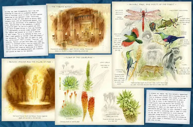 Lost in the Imagination: A Journey Through Nine Worlds in Nine Nights US - Hardback