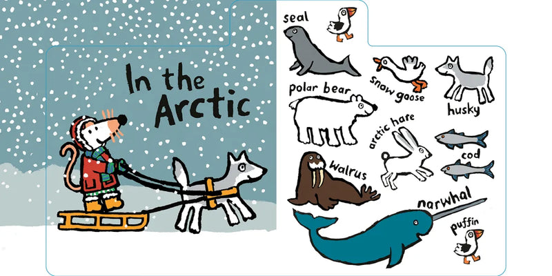 Maisy's Animals: A First Words Book US - Board book