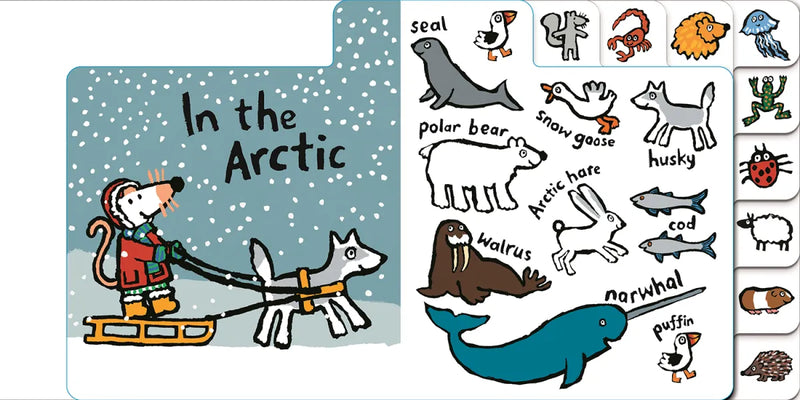 Maisy's Animals: A First Words Book US - Board book