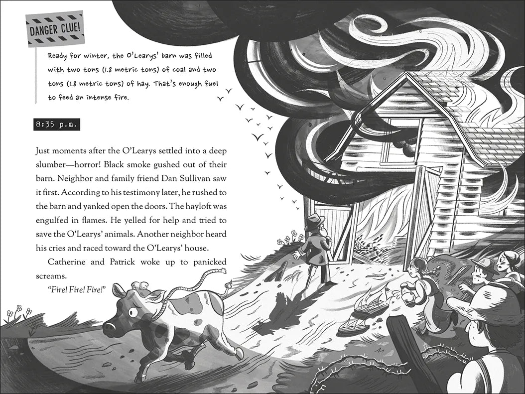 The Danger Files: Real-Life Disasters US - Hardback