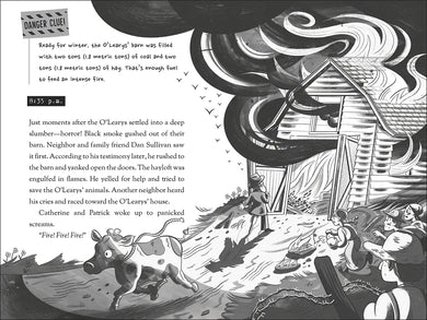 The Danger Files: Real-Life Disasters US - Hardback