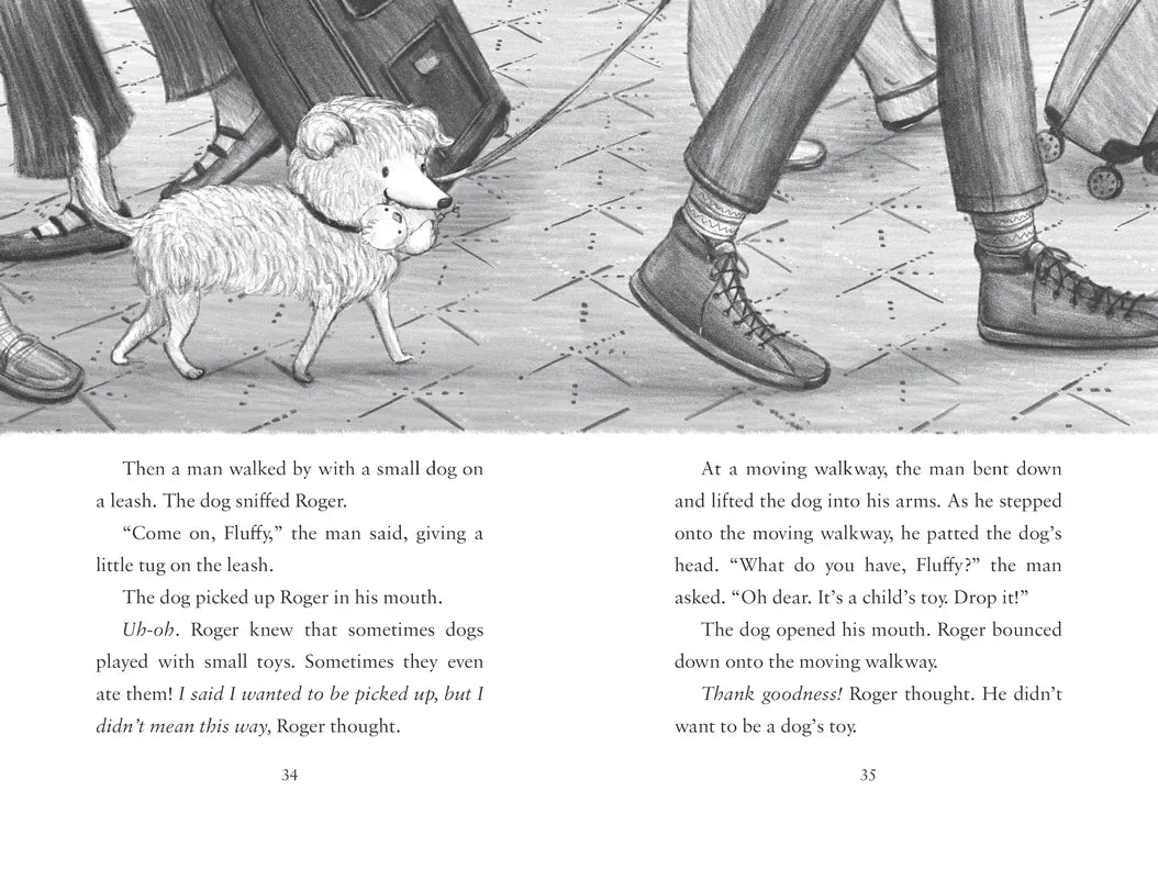 Book Buddies: Roger Takes a Chance US - Hardback