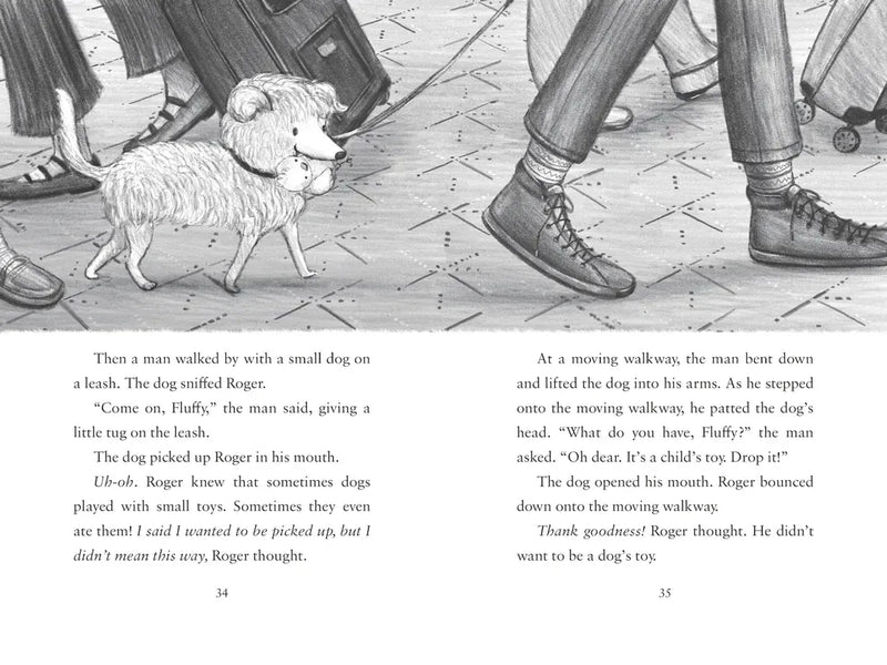 Book Buddies: Roger Takes a Chance US - Hardback