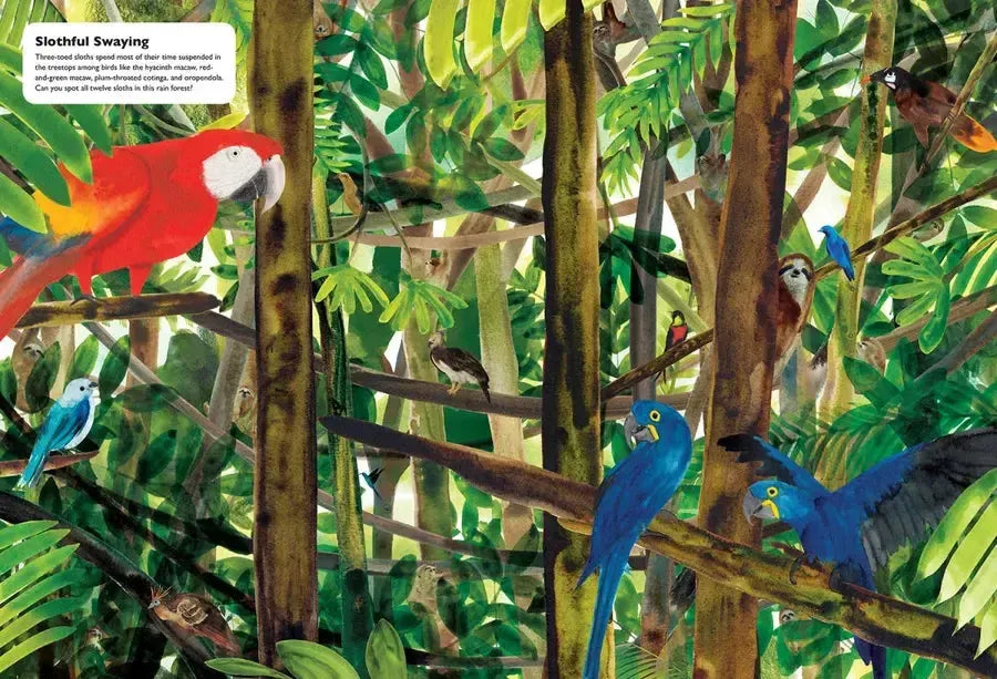 Masters of Disguise: Camouflaging Creatures & Magnificent Mimics US - Hardback
