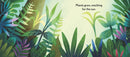 The Sun Shines on the Jungle US - Board book