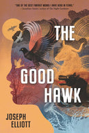 The Good Hawk (Shadow Skye, Book One)-Children’s / Teenage fiction: Nature and animal stories-買書書 BuyBookBook