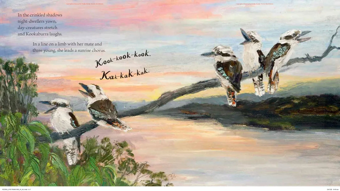 Kookaburra US - Hardback