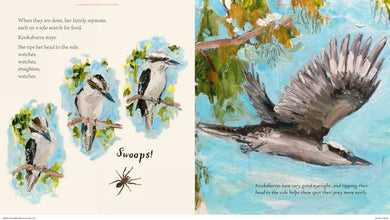 Kookaburra US - Hardback