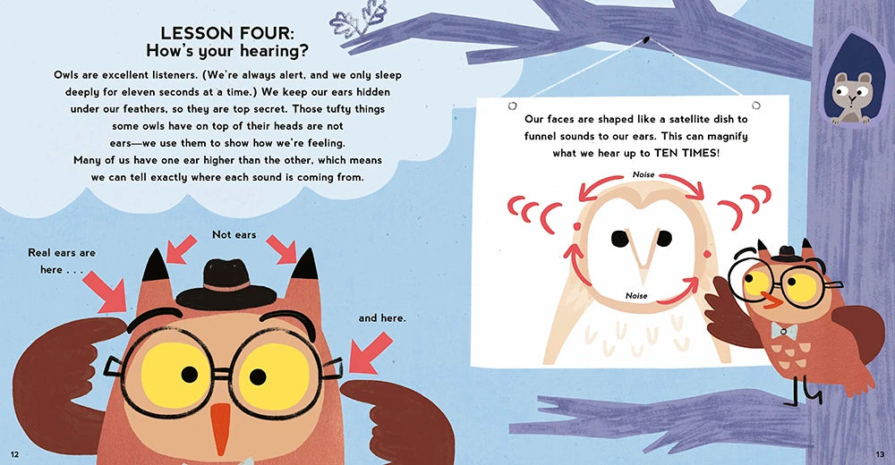 So You Want to Be an Owl US - Hardback