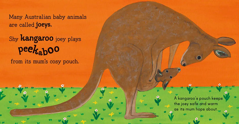 Australian Baby Animals US - Hardback