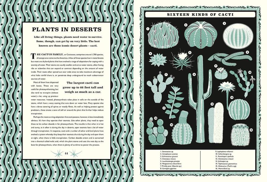 A World of Plants US - Hardback