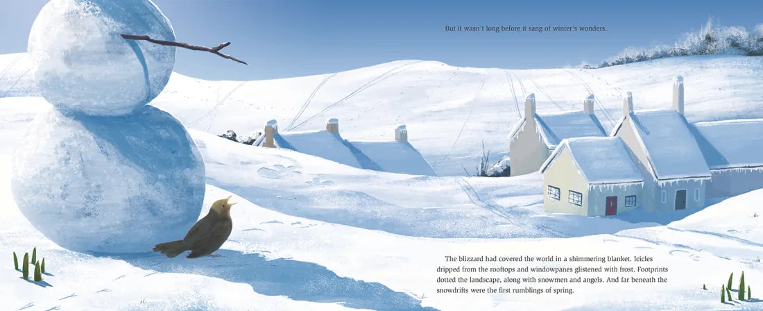 The Winter Bird US - Hardback