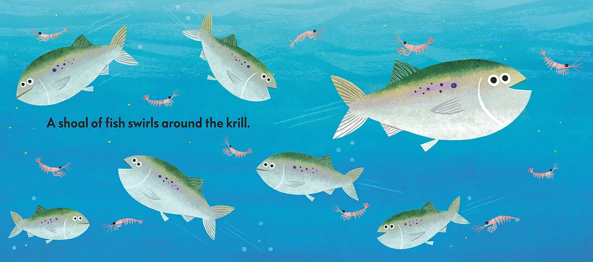 The Sun Shines on the Sea US - Board book