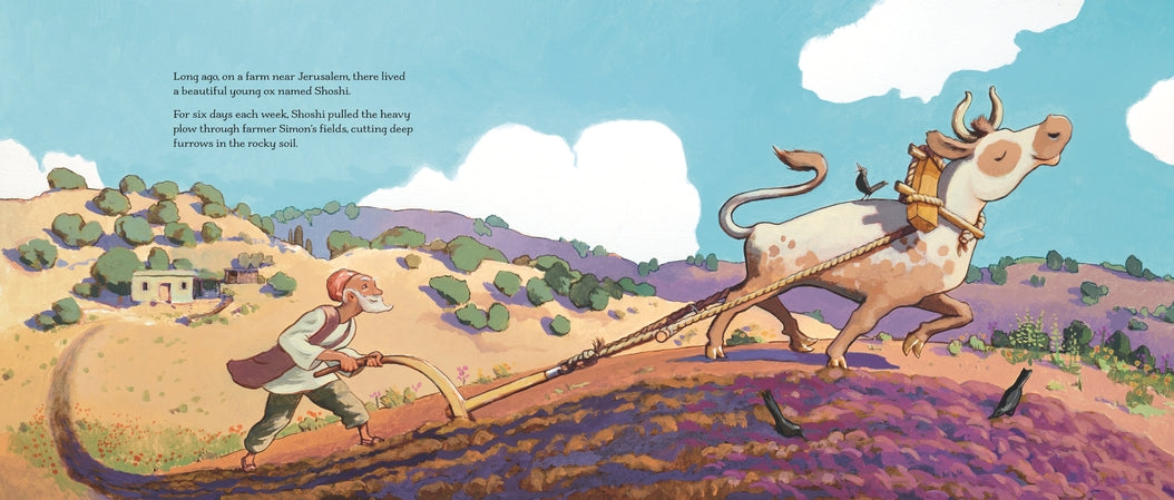 Shoshi's Shabbat US - Hardback