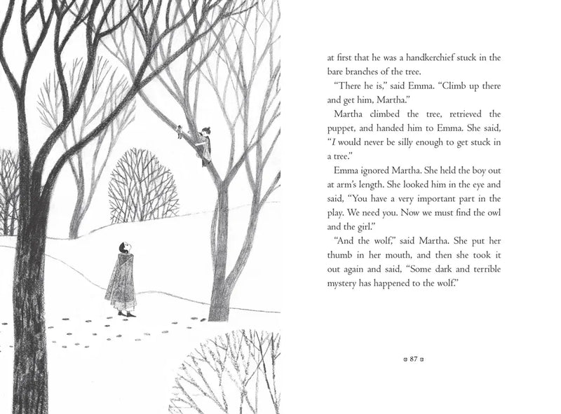 The Puppets of Spelhorst US - Hardback