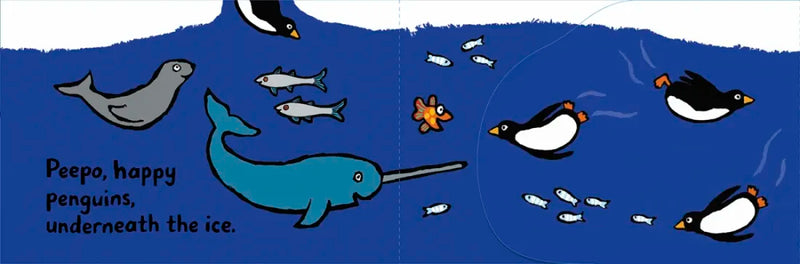 Little Fish's Ocean US - Board book