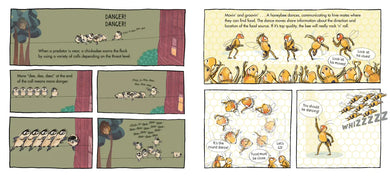 Supersquads!: Animal Heroes US - Hardback
