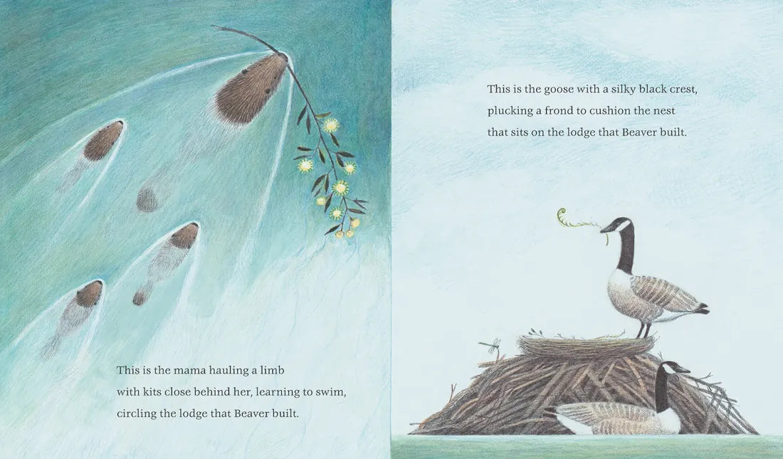 The Lodge That Beaver Built US - Hardback