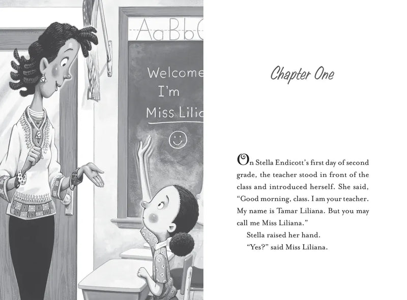 Stella Endicott and the Anything-Is-Possible Poem US - Paperback / softback