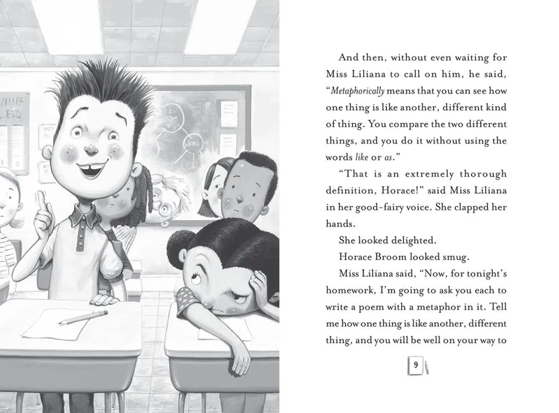 Stella Endicott and the Anything-Is-Possible Poem US - Paperback / softback