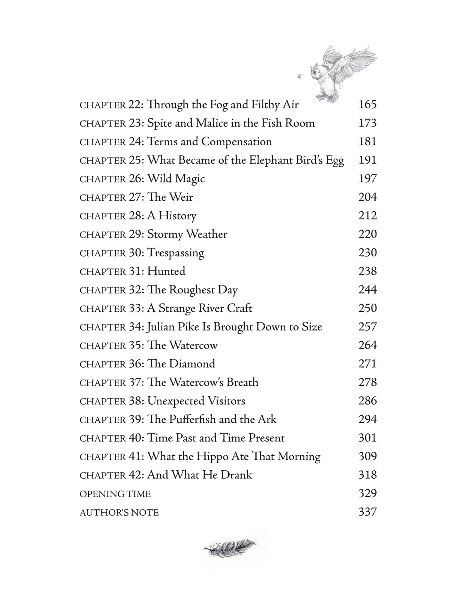The Hippo at the End of the Hall US - Paperback / softback
