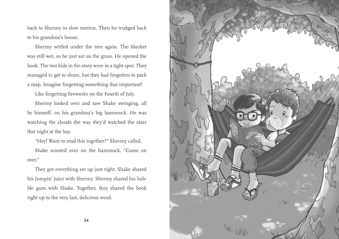 Shermy and Shake, the Not So Nice Neighbor US - Hardback