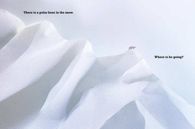 A Polar Bear in the Snow US - Paperback / softback