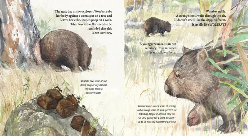 Wombat US - Hardback
