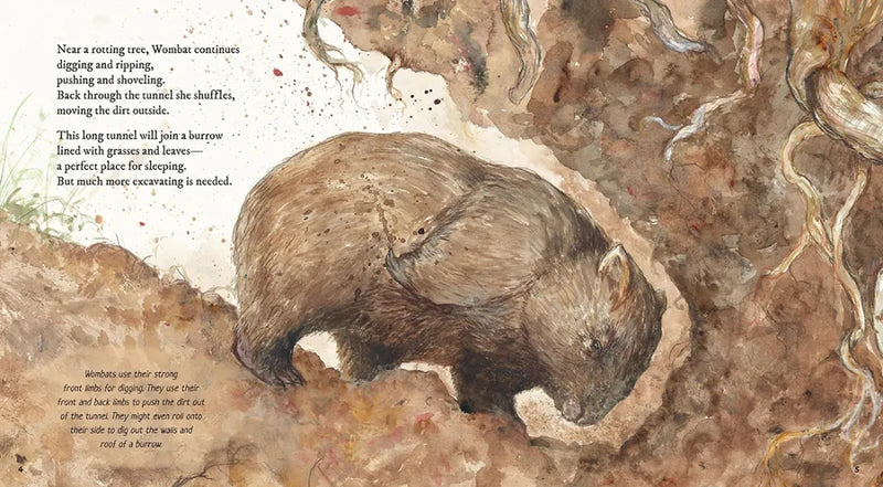 Wombat US - Hardback
