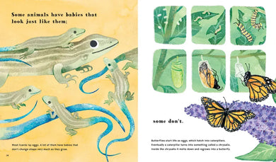 Find Out About Animal Babies US - Hardback