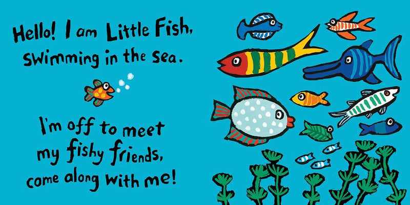 Hello, Little Fish!: A Mirror Book US - Board book
