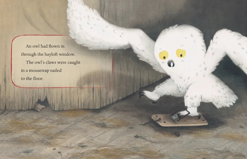 Orris and Timble: The Beginning US - Hardback