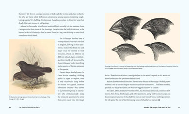 Discovering Life’s Story: The Evolution of an Idea US - Hardback