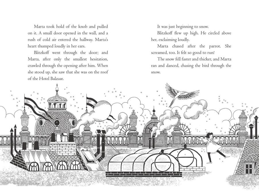 The Hotel Balzaar US - Hardback
