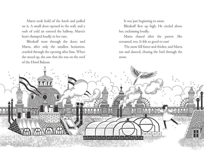 The Hotel Balzaar US - Hardback