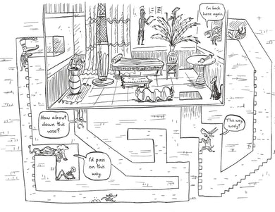 Julius Zebra: Entangled with the Egyptians! US - Paperback / softback