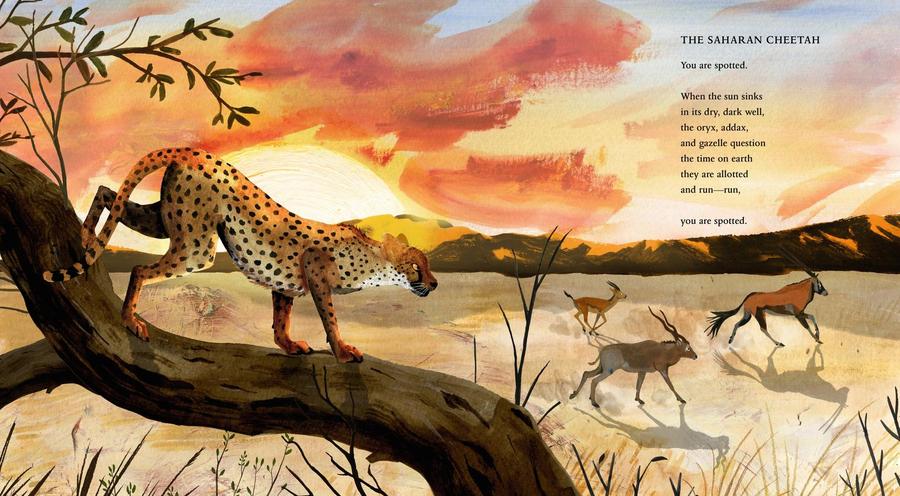 In the Desert US - Hardback
